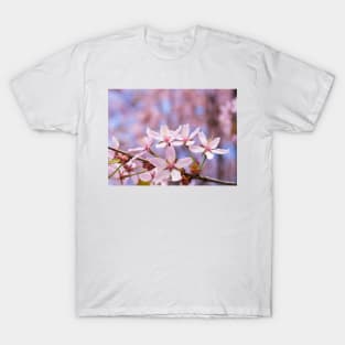 Cherry Blossom T-Shirt